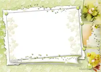 Photo effect from category Wedding frames № 1091