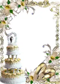 Photo effect from category Wedding frames № 1095