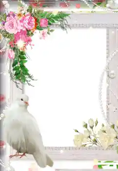 Photo effect from category Wedding frames № 113119