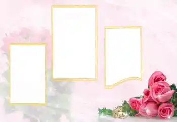 Photo effect from category Wedding frames № 114398