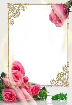 Photo effect from category Wedding frames № 114400