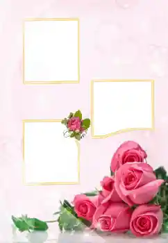 Photo effect from category Wedding frames № 114401