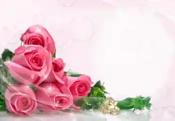 Photo effect from category Wedding frames № 114402