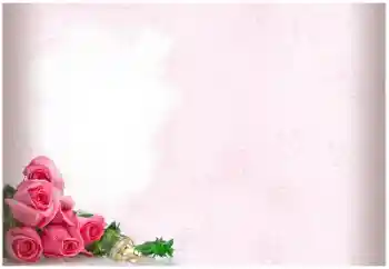 Photo effect from category Wedding frames № 114403