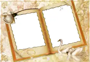 Photo effect from category Wedding frames № 114451