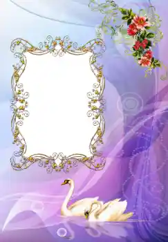 Photo effect from category Wedding frames № 117222