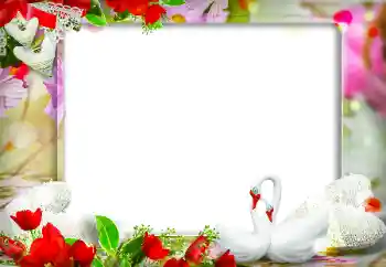 Photo effect from category Wedding frames № 120004