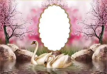 Photo effect from category Wedding frames № 121126