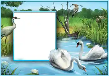 Photo effect from category Wedding frames № 124253