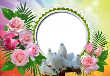 Photo effect from category Wedding frames № 130157