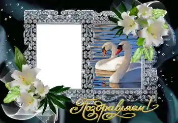 An inscription on the frame: Congratulations!