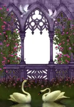 Photo effect from category Wedding frames № 130281