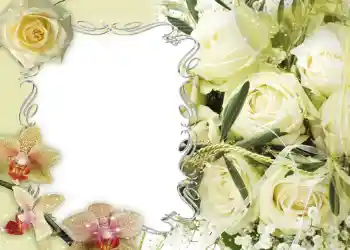 Photo effect from category Wedding frames № 135