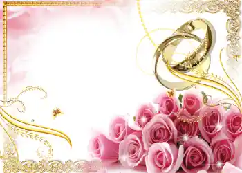 Photo effect from category Wedding frames № 137