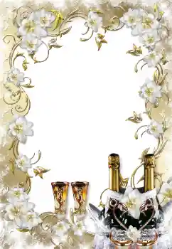Photo effect from category Wedding frames № 138566