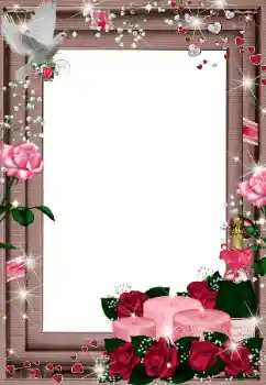 Photo effect from category Wedding frames № 13958