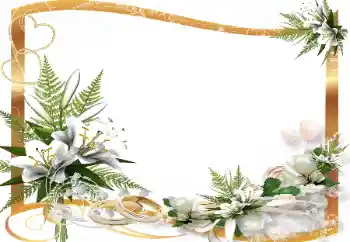 Photo effect from category Wedding frames № 139865