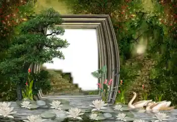 Photo effect from category Wedding frames № 142464