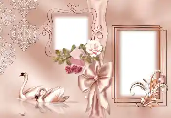 Photo effect from category Wedding frames № 143501