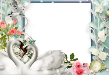 Photo effect from category Wedding frames № 143577