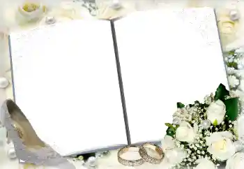 Photo effect from category Wedding frames № 145089