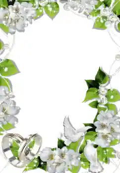Photo effect from category Wedding frames № 145090