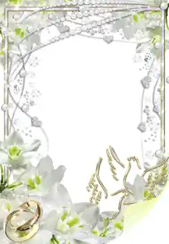 Photo effect from category Wedding frames № 1490