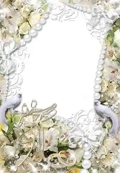 Photo effect from category Wedding frames № 1491