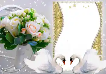 Photo effect from category Wedding frames № 149216