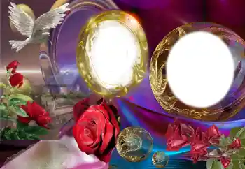 Photo effect from category Wedding frames № 149311