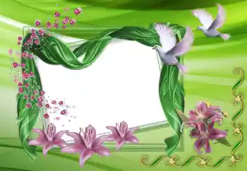 Photo effect from category Wedding frames № 150515