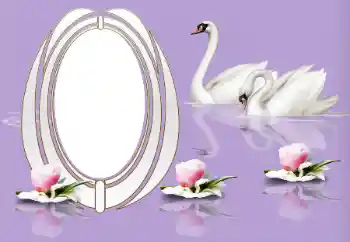 Photo effect from category Wedding frames № 153161