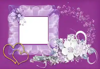 Photo effect from category Wedding frames № 154320