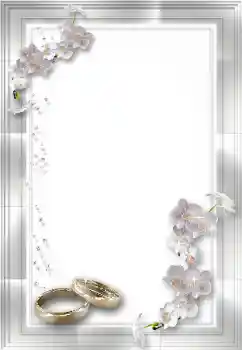 Photo effect from category Wedding frames № 154381