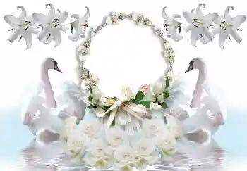 Photo effect from category Wedding frames № 154586