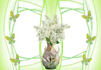 Photo effect from category Wedding frames № 157103