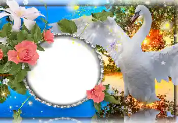 Photo effect from category Wedding frames № 157109