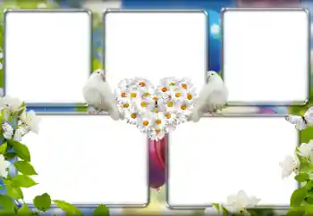 Photo effect from category Wedding frames № 157149