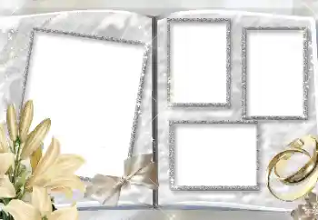 Photo effect from category Wedding frames № 157150