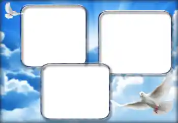 Photo effect from category Wedding frames № 160852