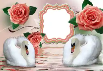 Photo effect from category Wedding frames № 160854