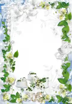 Photo effect from category Wedding frames № 1625