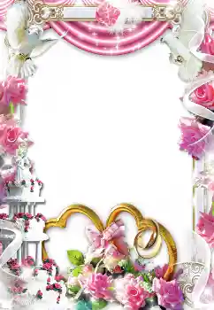Photo effect from category Wedding frames № 1628