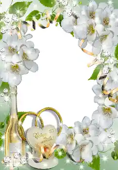 Photo effect from category Wedding frames № 1633