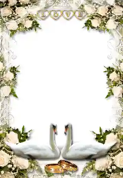 Photo effect from category Wedding frames № 1634