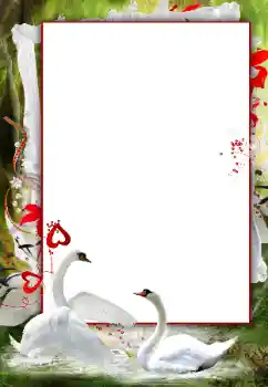 Photo effect from category Wedding frames № 166120