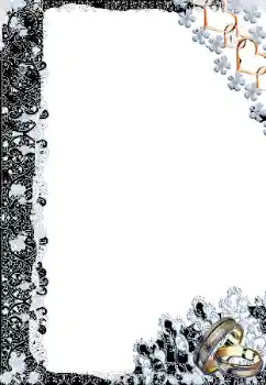 Photo effect from category Wedding frames № 166341