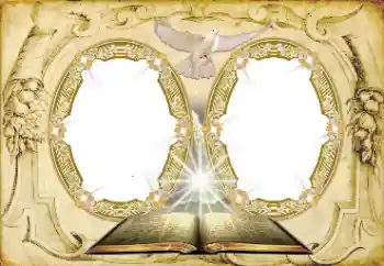 Photo effect from category Wedding frames № 167743