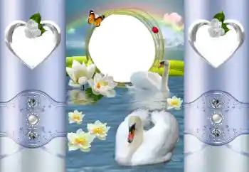 Photo effect from category Wedding frames № 167887