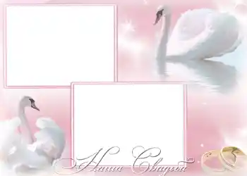 An inscription on the frame: Our wedding